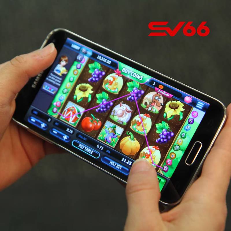 Cam kết của sv66 về tính minh bạch và công bằng