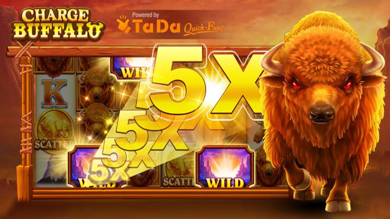 Giới thiệu về Trâu Rừng Xung Phong